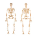 Halloween Movable Skeleton Decorations Set - DIY Spooky Skeleton Props for Parties