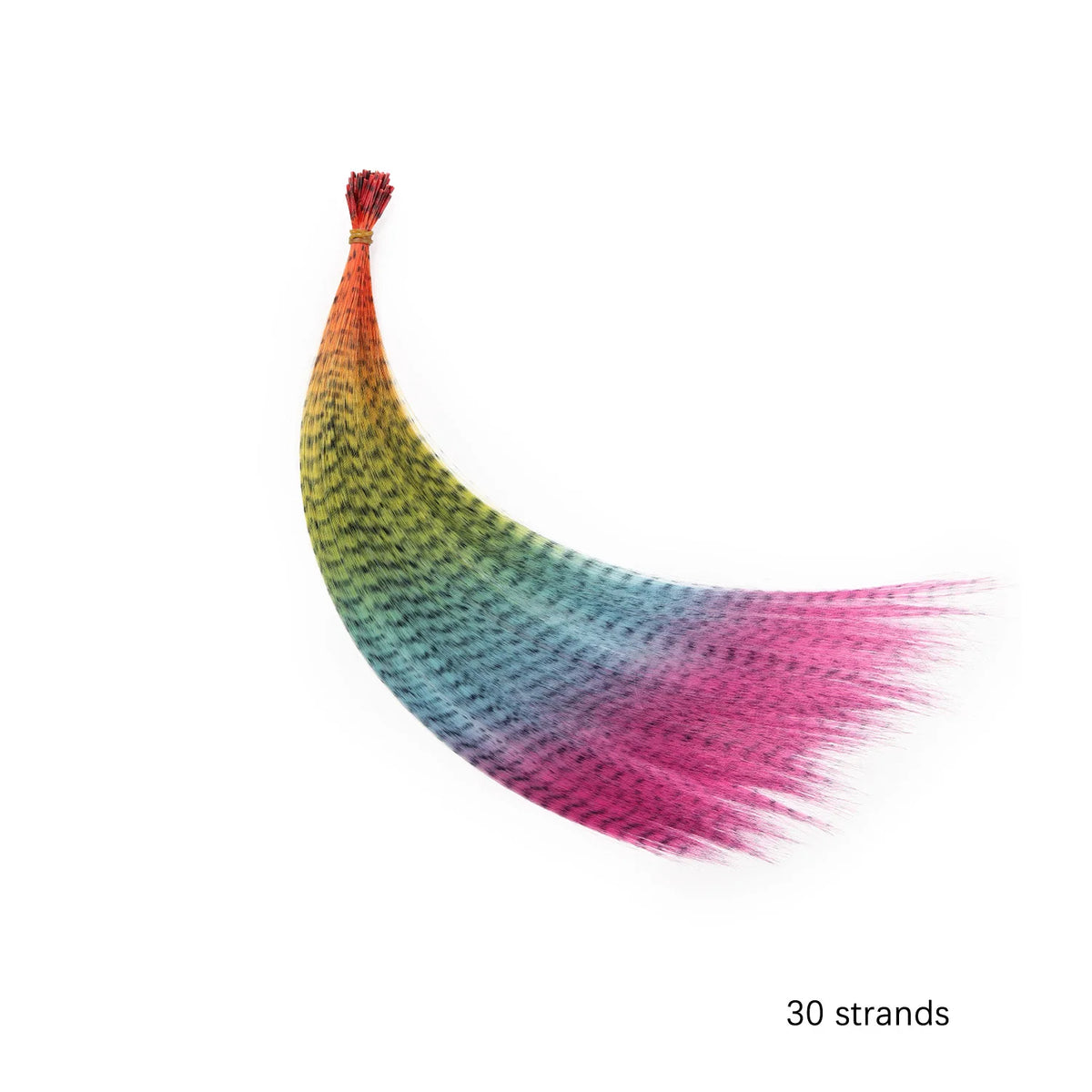 Rainbow Colorful Feather Extensions Long Straight Hairpieces for Girls - Ombre Style
