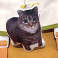 Cat Voice Keychain with Sound Reversing German Kitten Sound - Cute Pet Accessory
