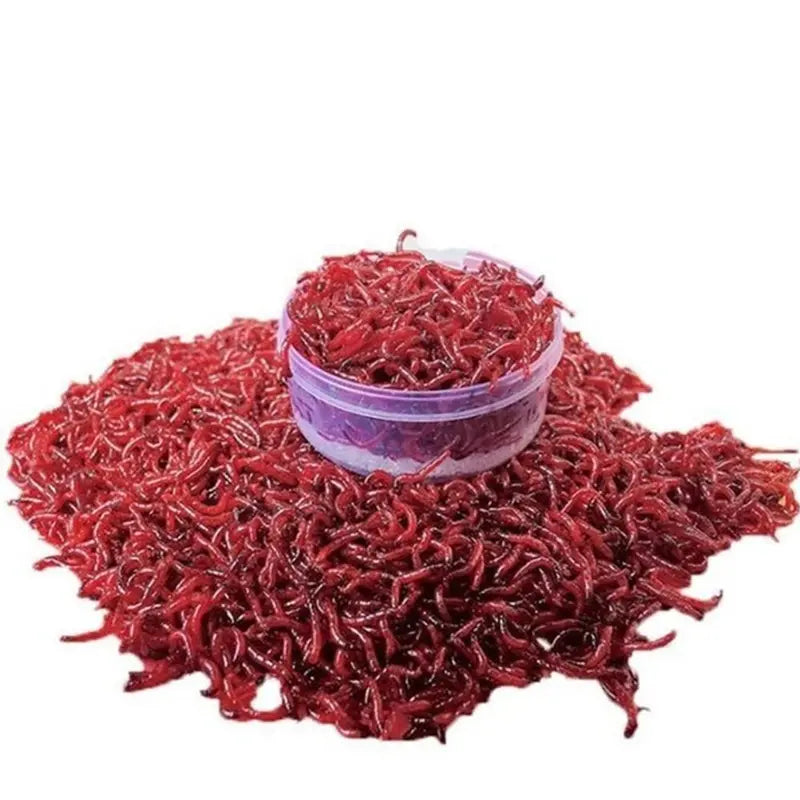 Fishing Bloodworm Powder 50g Natural Bait Additive for Carp & Fish
