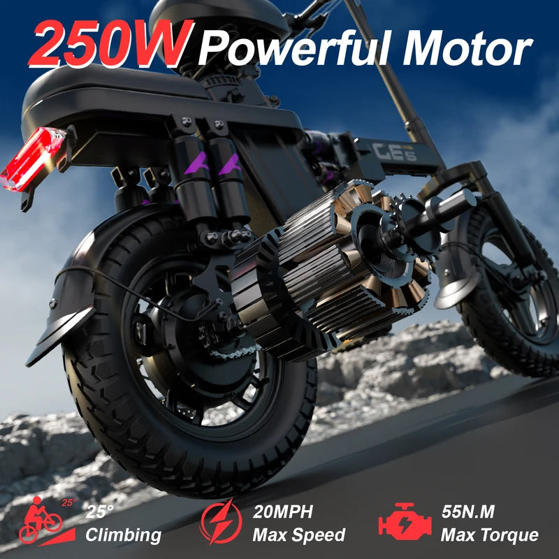 Foldable Electric Bike with 48V 15AH Battery 30+MPH 250W for Adults