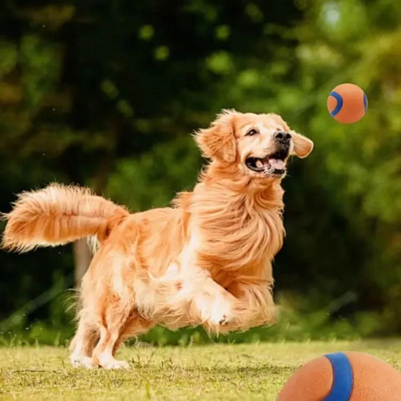 Dog Fetch Ball Toy - Durable Chew & Jumping Pet Ball for All Sizes