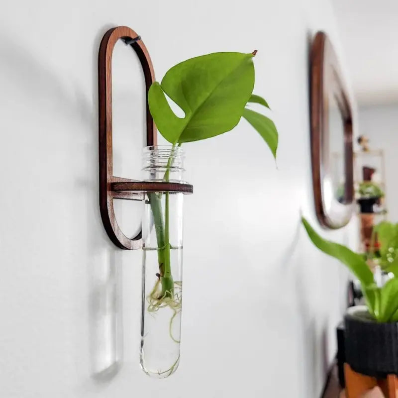 Wood Hydroponic Plant Wall Rack with Vase Holder for Home Decor