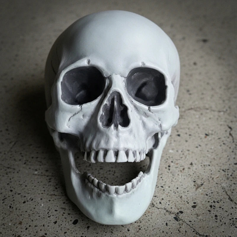 Realistic Plastic Skull Decoration for Halloween Haunted House & Garden Decor