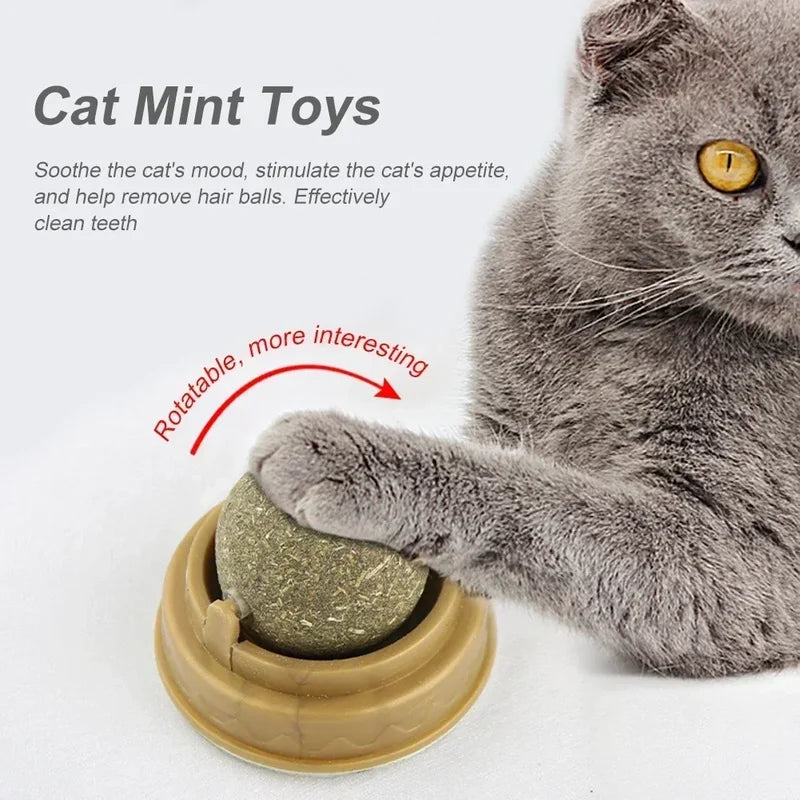 Pet Catnip Toys Ball Set Edible Catnip for Cats Safe Healthy Chasing Play