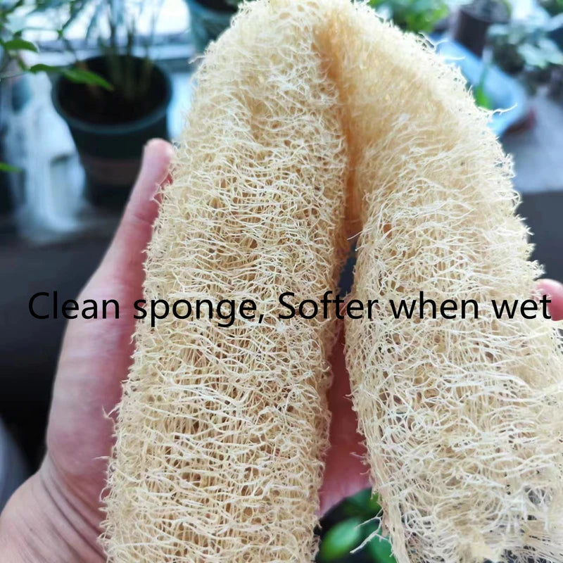 Natural Eco-Friendly Luffa Sponge Scrubber for Kitchen and Bath Cleaning & Exfoliation