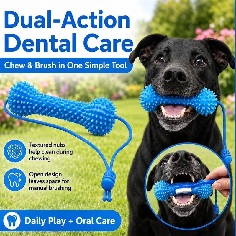 Dual-Action Dog Dental Chew Toy for Teeth Cleaning and Brushing