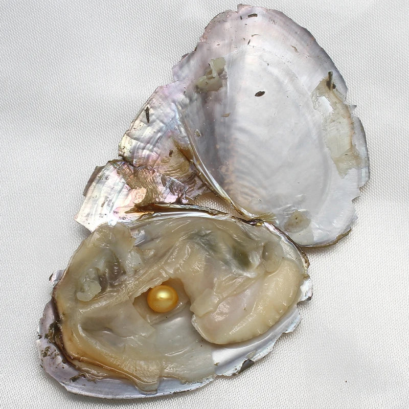 7-8MM AA+ Freshwater Cultured Pearl Oyster Gift Set - 10 Pieces