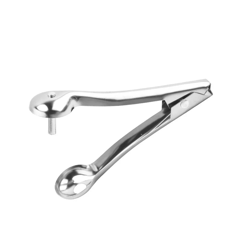Stainless Steel Jujube Corer Kitchen Fruit Tool for Cherry and Hawthorn