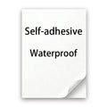 Custom Waterproof Logo Stickers for Business & Storefronts - Decals & Seals
