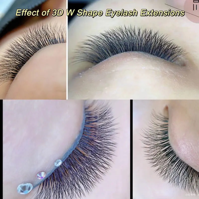 Automatic W Shape Flowering Eyelash Extensions 3D-8D Soft Light Full Dense