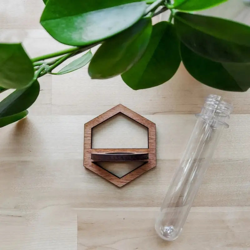 Wood Hydroponic Plant Wall Rack with Vase Holder for Home Decor