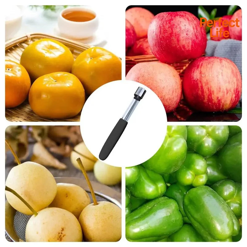 Fruit Corer and Pitter Tool for Apples Pears Bell Peppers Stainless Steel Kitchen Gadget
