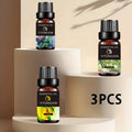 Essential Oil Set 3 Pack - Rosemary, Lemongrass, Lemon 10ml Bottles for Body Massage