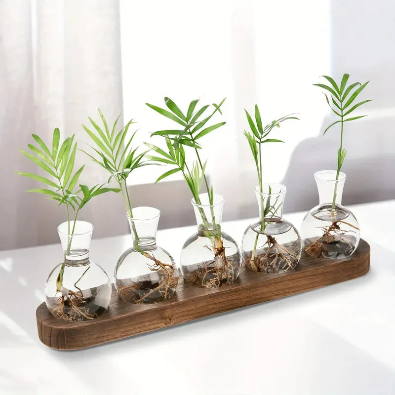 Glass Terrarium with Wooden Tray for Indoor Plants and Propagation