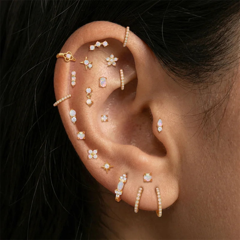 Sterling Silver Heart and Crown Opal Dainty Earrings for Women