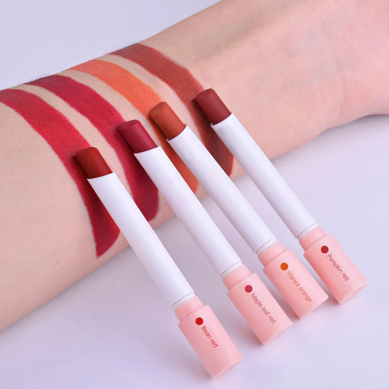 4 Color Velvet Matte Waterproof Lip Gloss Set - Long Lasting Lipstick for Women