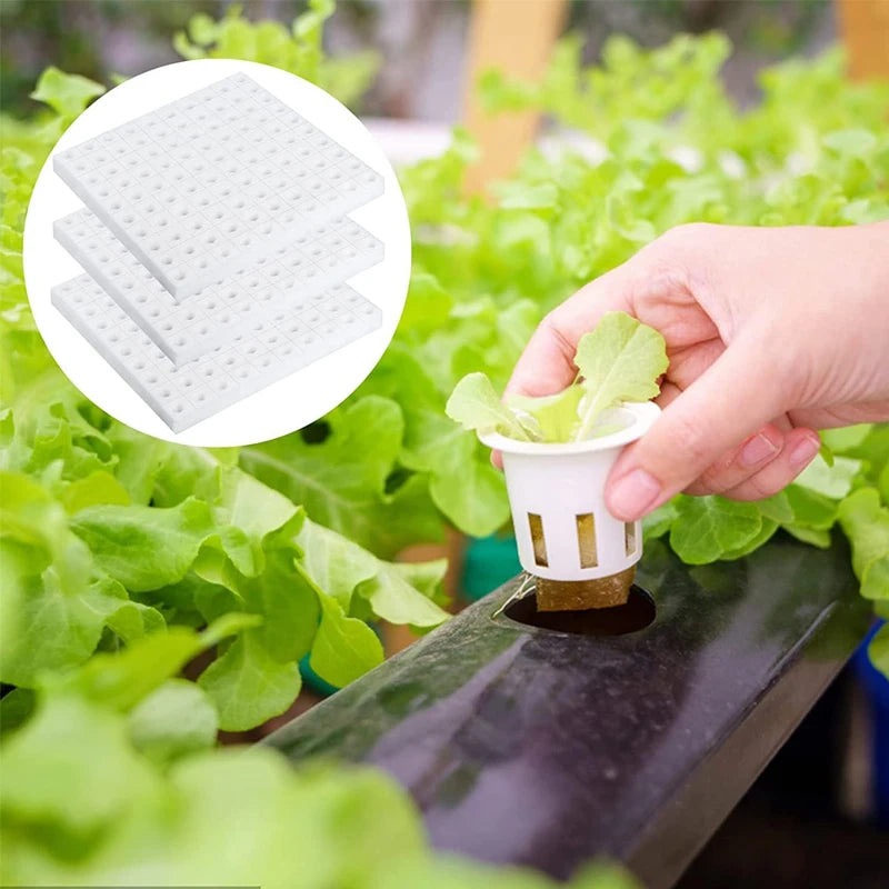 500PCS Hydroponic Sponge Cubes for Seedling Propagation Garden Planting