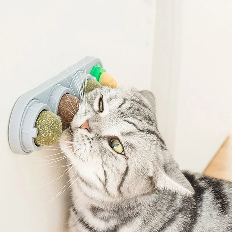 4-in-1 Rotating Catnip and Silver Vine Toy for Cats - Teeth Cleaning & Digestive Health