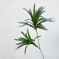Artificial Dragon Blood Tree Branch with Green Leaves - Fake Floral Decor for Home & Restaurant