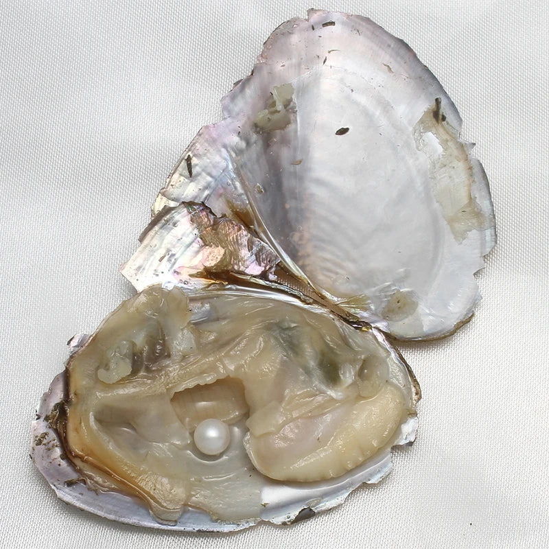 7-8MM AA+ Freshwater Cultured Pearl Oyster Gift Set - 10 Pieces