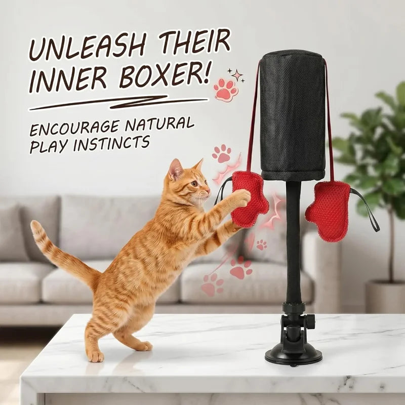 Cat Punching Bag Toy with Boxing Gloves - Interactive Indoor Play