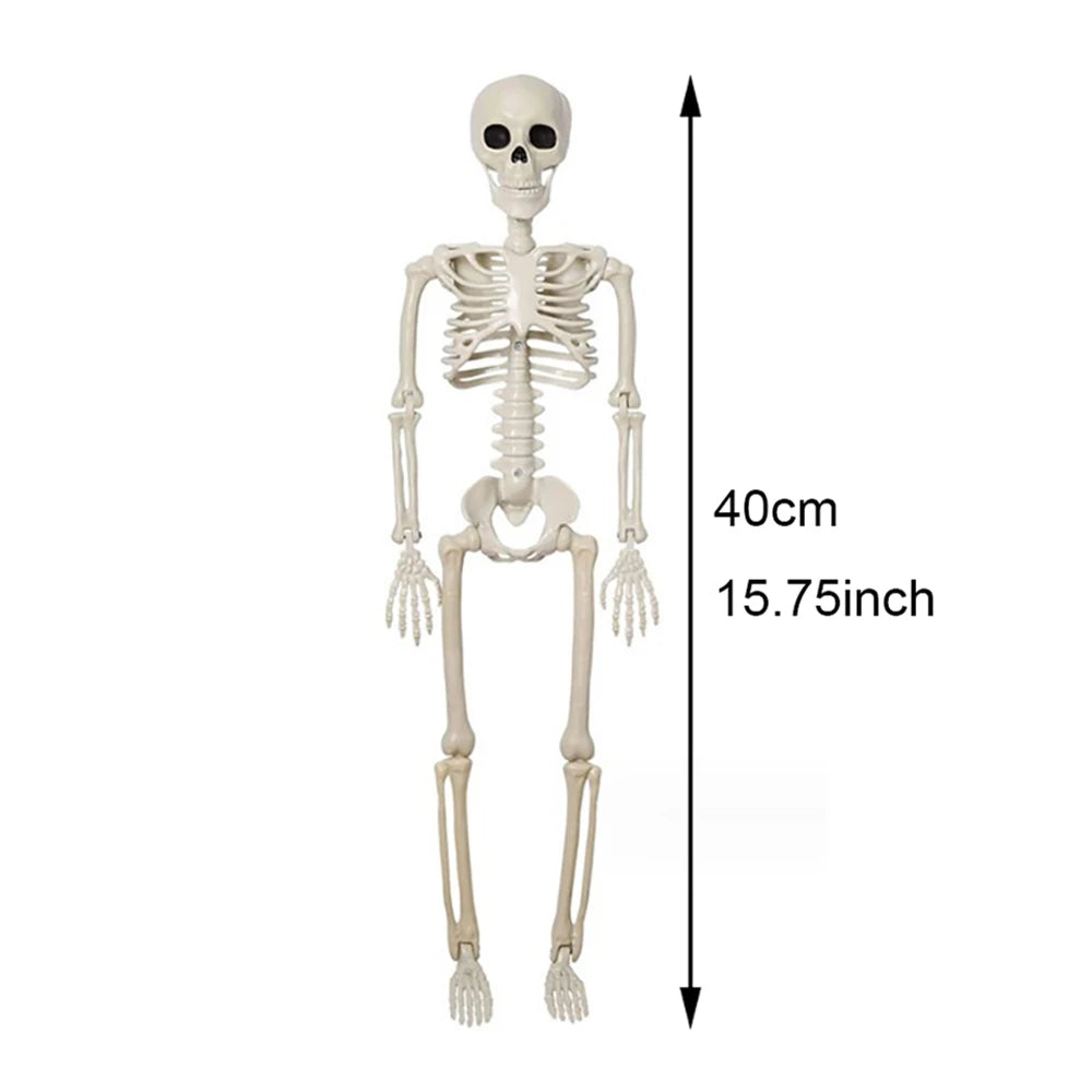 Posable Skeleton Halloween Decoration Human Bone Horror Prop