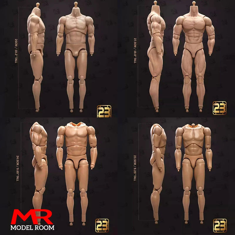 1/6 Scale Male Action Figure Body - Articulated Muscle Model, 23.5-27.5cm