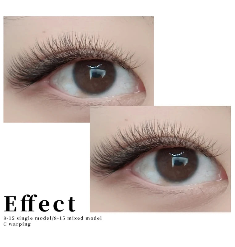 Automatic 4D W Shaped Bloom False Eyelashes Extension Soft Natural Light High-Volume