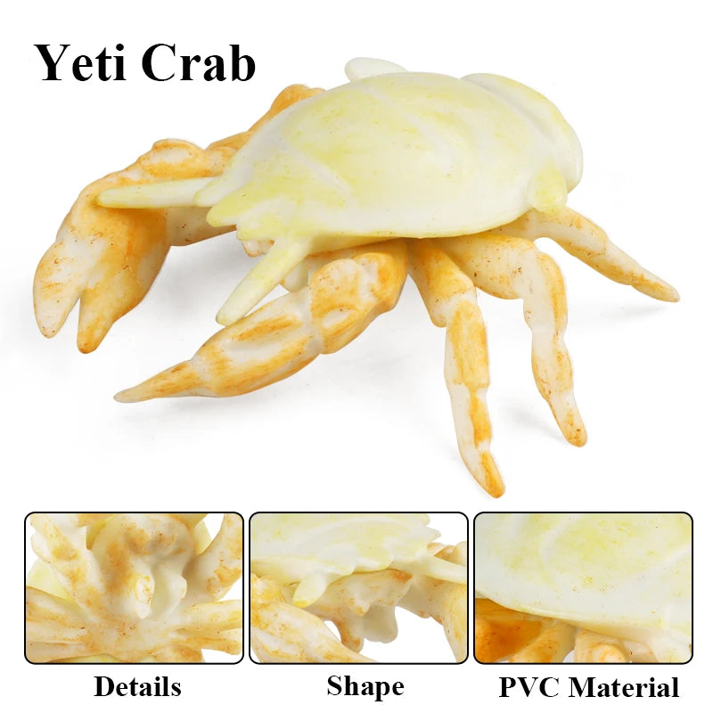 Ocean Sea Life Animals Action Figures Set - Kids Education & Toy Collection