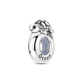 925 Sterling Silver Charm Beads for Bracelets - Passports, Dogs, Shoes & Gift Ideas