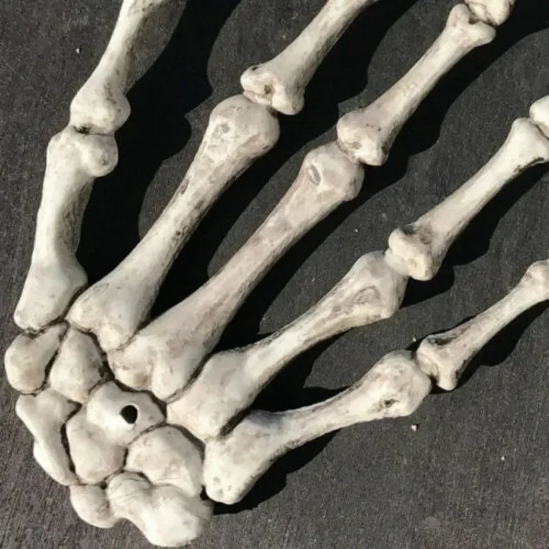 Realistic Skeleton Hand Skull Halloween Decor Prop - Zombie Haunted House Scary Plastic Decoration