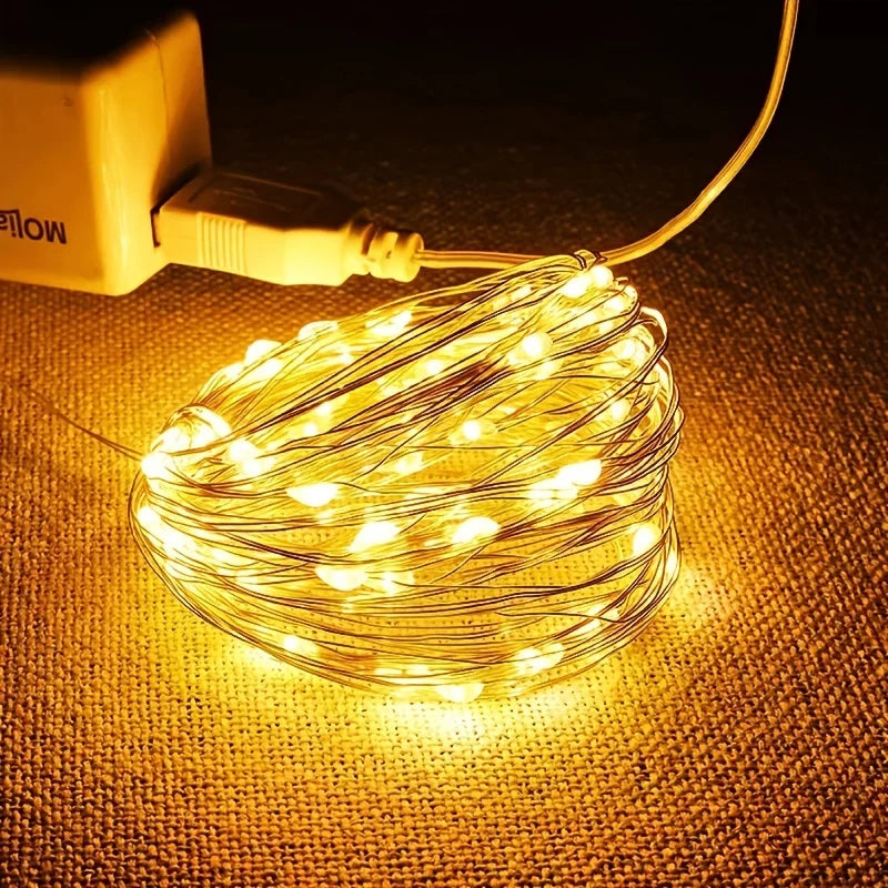 USB LED Fairy String Lights Copper Wire Decor for Holiday Wedding Party