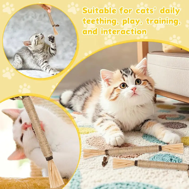 Silvervine Cat Chew Sticks Set - Natural Cat Toys for Dental Care & Play