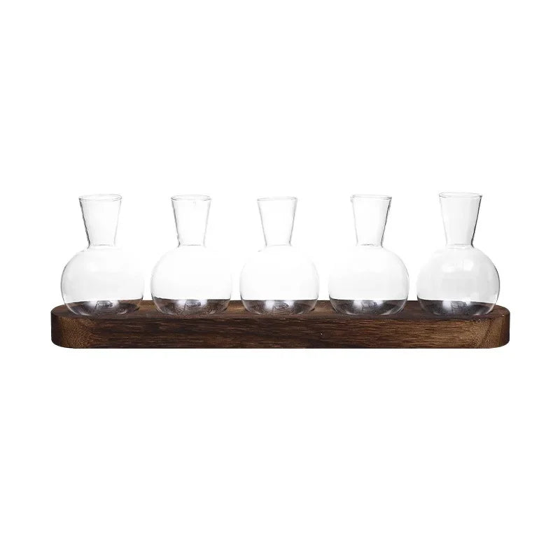 Glass Terrarium with Wooden Tray for Indoor Plants and Propagation