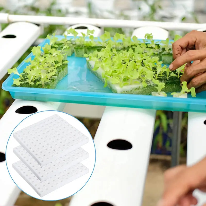Hydroponic Plant Growing Sponges 100-500pcs Square Soilless Cultivation for Seedlings and Vegetables