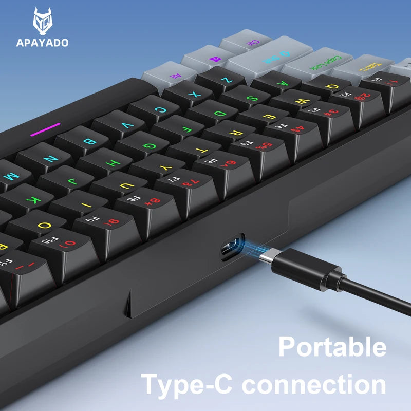 Mini Wired Gaming Mechanical Keyboard 61 Keys RGB Backlit Compact for PC Laptop