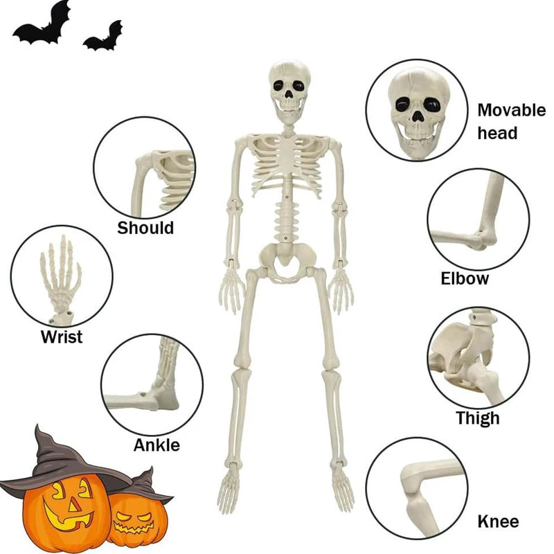 Posable Skeleton Halloween Decoration Human Bone Horror Prop