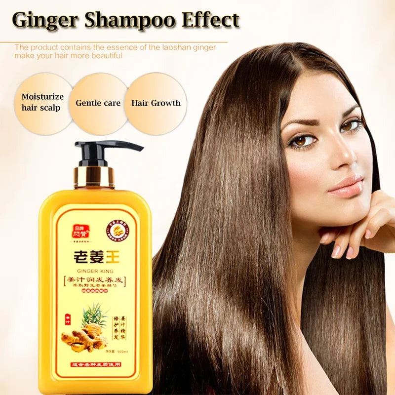 Ginger Hair Loss Shampoo for Damaged Dry Oily Scalp Repair & Growth