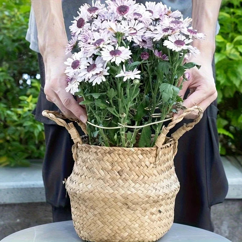 Large Hanging Plant Stand with Iron Hooks for Indoor and Outdoor Decoration