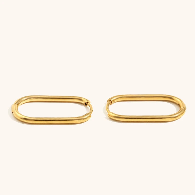 Stainless Steel Hoop Earrings for Women - Hypoallergenic & Waterproof Jewelry