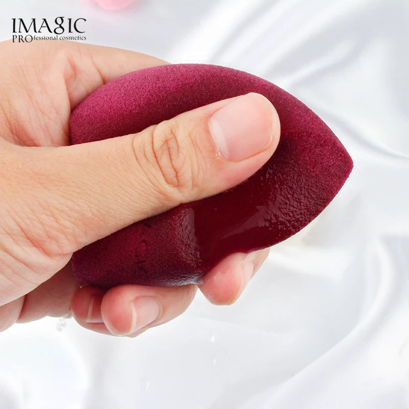 10Pcs Makeup Blender Sponge Set - Wet & Dry Foundation & Powder Blenders