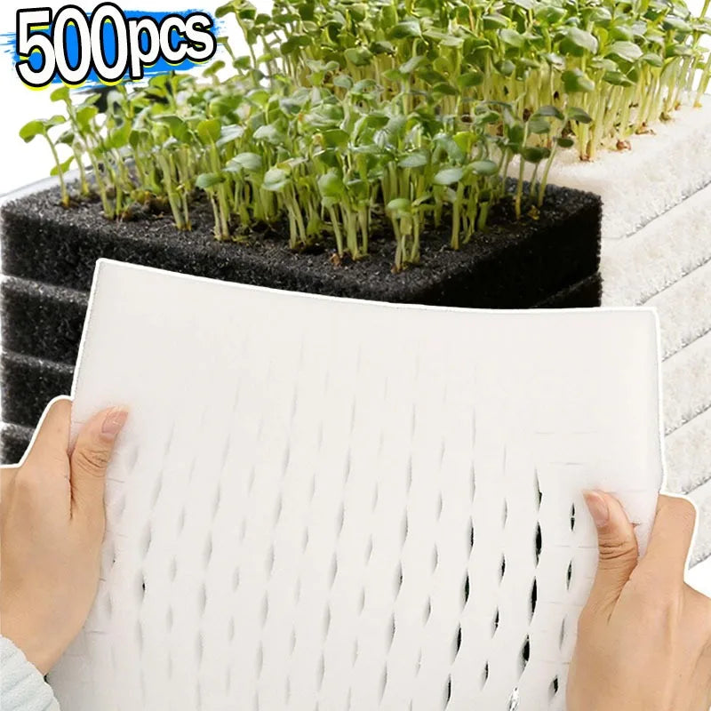 Hydroponic Plant Growing Sponges 100-500pcs Square Soilless Cultivation Blocks