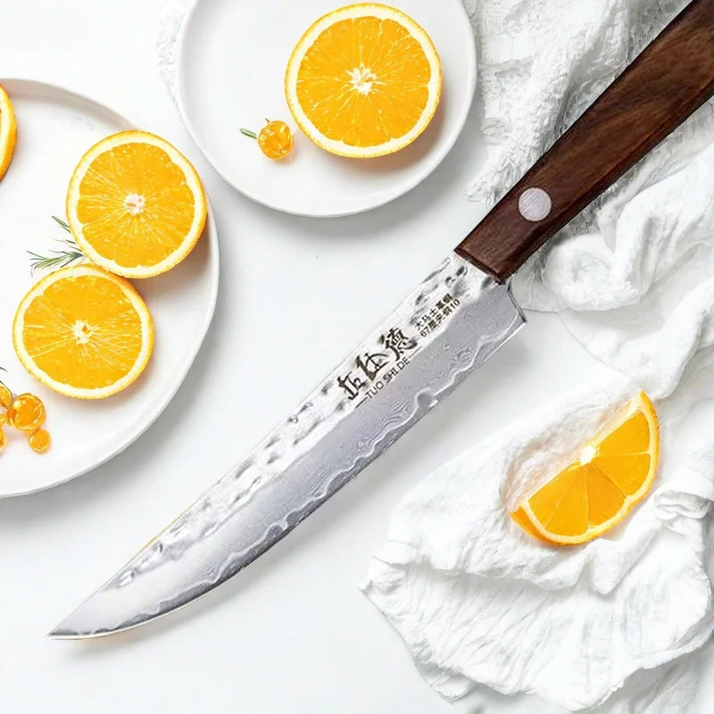 Forged Damascus Steel Fruit & Boning Knife with Solid Wood Handle - 67 Layers Kitchen Tool