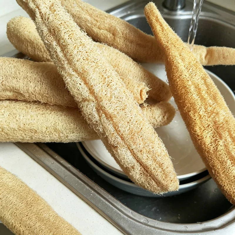 Natural Eco-Friendly Luffa Sponge Scrubber for Kitchen and Bath Cleaning & Exfoliation