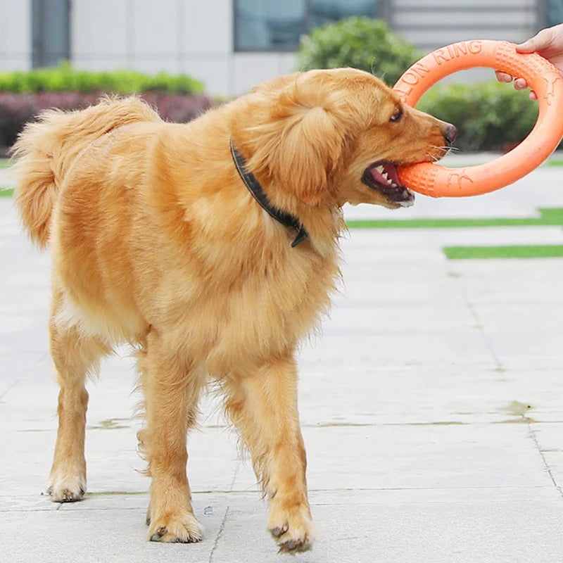 Dog Flying Disk Toy Interactive Training Ring EVA Resistant Fetch Ring