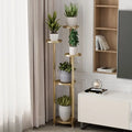Multi-Layer Indoor Plant Stand - Metal Corner Shelf with Anti-Slip Feet