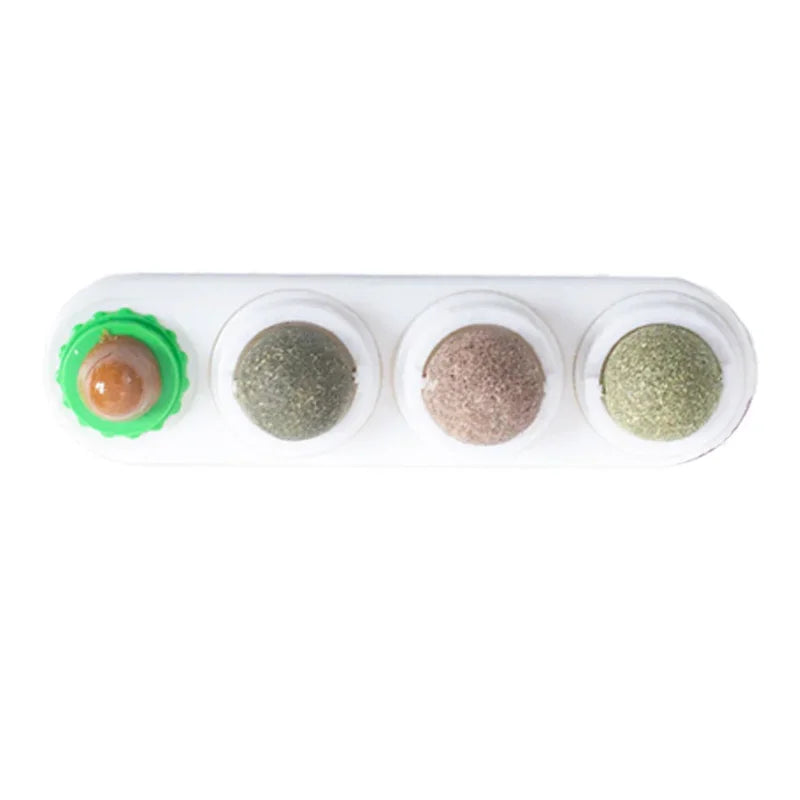 4-in-1 Rotating Catnip and Silver Vine Toy for Cats - Teeth Cleaning & Digestive Health