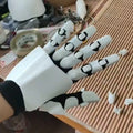 Mechanical Cosplay Gloves 3D-Printed PETG Flexible Costume Gloves - Multiple Colors