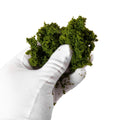 HO Scale Miniature Shrubs Bushes for Model Railway Dioramas - Various Colors
